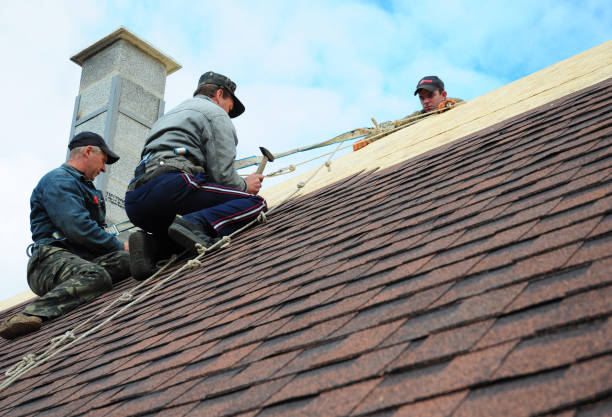 Best Shingle Roofing Installation  in Union City, NJ